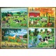 Pièces XXL - Amis de la Campagne