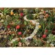 Succulent Garden