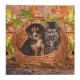 Crystal Art - Kit Broderie Diamant - Chat et Chien