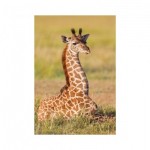 Dino-33122-Girafe Mini-puzzle Girafe