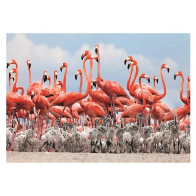 Dino-50250 Flamingoes