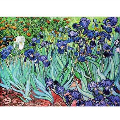 Dtoys-70241 Van Gogh Vincent - Iris