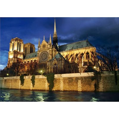 DToys-70517 Paysages nocturnes - France : Cathédrale Notre-Dame de Paris