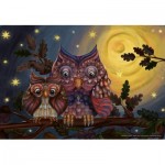 DToys-78452 2 Owls