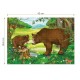 Animaux Sauvages - Ours