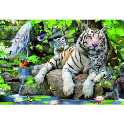 Educa-14808 Tigres blancs du Bengale