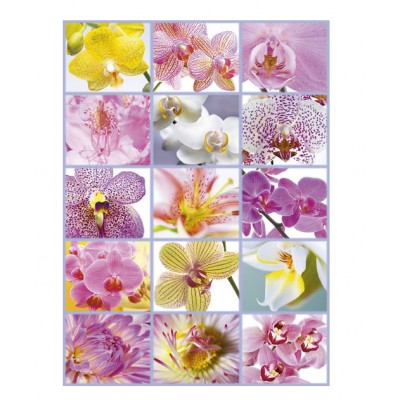 Educa-16302 Collage d'Orchidées