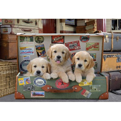 Educa-17645 Puppies in the Luggage