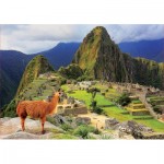 Educa-17999 Machu Picchu Perou