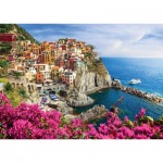 Enjoy-Puzzle-1080 Manarola, Cinque Terre, Italie