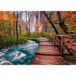 Enjoy-Puzzle-1089 Forest Stream in Plitvice, Croatia
