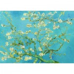 Enjoy-Puzzle-1125 Vincent Van Gogh : Fleur d'amandier