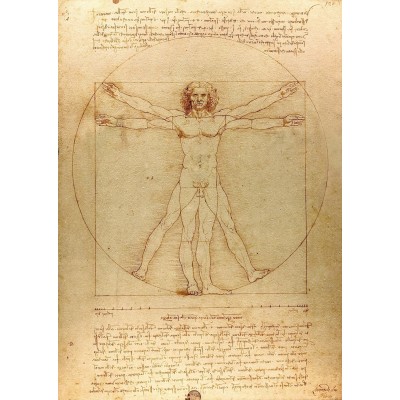 Enjoy-Puzzle-1557 De Vinci - L'Homme de Vitruve