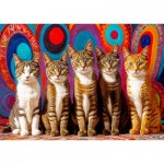 Enjoy-Puzzle-2131 Cinq Chats