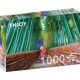 Asian Woman in Bamboo Forest