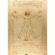 De Vinci - L'Homme de Vitruve