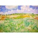 Vincent Van Gogh : Plaine près d'Auvers