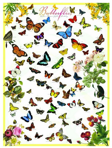 Eurographics-6000-0077 Papillons