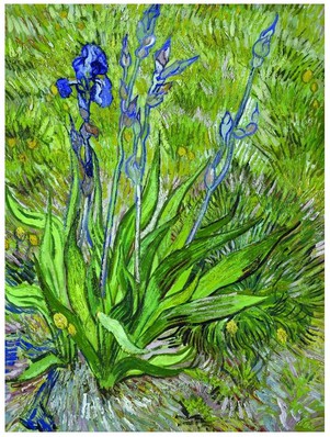 Eurographics-6000-0380 Van Gogh Vincent : Les iris