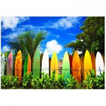 Eurographics-6000-0550 Le paradis des Surfers - Hawaii