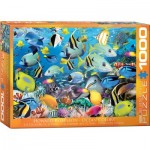 Eurographics-6000-0625 Ocean Colors by Howard Robinson