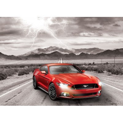 Eurographics-6000-0702 2015 Ford Mustang GT Fifty Years of Power