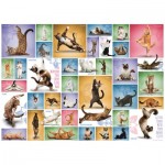 Eurographics-6000-0953 Yoga Cats