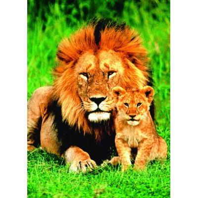 Eurographics-6000-1148 Le lion et son petit