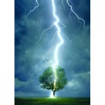 Eurographics-6000-4570 Foudre frappant un arbre
