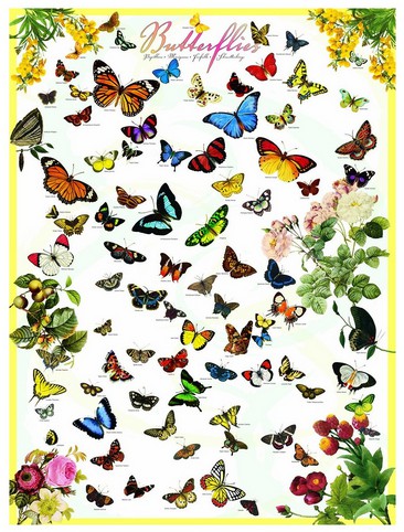 Eurographics-8500-0077 Papillons