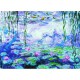 Monet Claude : Les Nénuphars