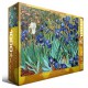 Van Gogh : Les Iris