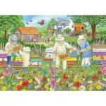 Jumbo-11381 Apiculteurs