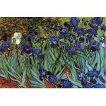 Grafika-F-30848 Van Gogh Vincent : Les Iris, 1889