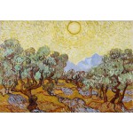 Grafika-F-30912 Vincent Van Gogh : Les Oliviers, 1889