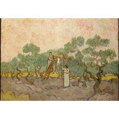 Grafika-F-30936 Van Gogh Vincent : Femmes ramassant des Olives, 1889