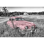 Grafika-F-30963 Oldtimer - Rose