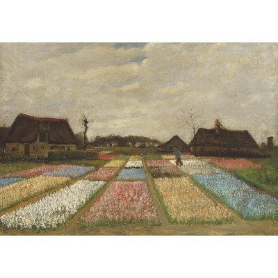 Grafika-F-31056 Vincent Van Gogh - Flower Beds in Holland, 1883