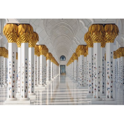 Grafika-F-31098 Mosquée Cheikh Zayed, Abou Dabi, Emirats Arabes Unis