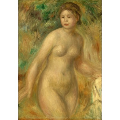 Grafika-F-31192 Auguste Renoir : Nu, 1895