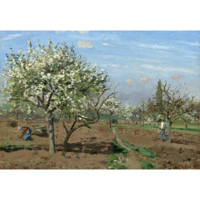 Grafika-F-31245 Camille Pissarro : Verger en Fleurs, Louveciennes, 1872