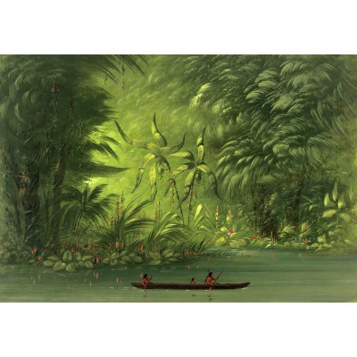 Grafika-F-31313 George Catlin : Entrée dans une lagune, rive de l'Amazonie, 1854-1869