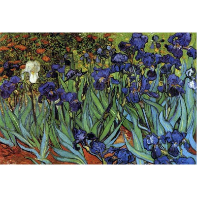 Grafika-F-31597 Van Gogh Vincent : Les Iris, 1889