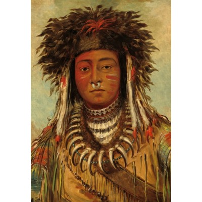 Grafika-F-31668 George Catlin : Chef Indien - Ojibbeway, 1843