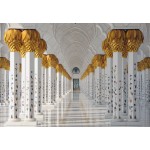 Grafika-F-31776 Mosquée Cheikh Zayed, Abou Dabi, Emirats Arabes Unis