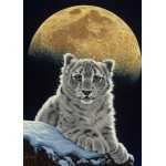Grafika-Kids-01655 Schim Schimmel - Moon Leopard
