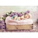 Konrad Bak: Baby sleeping in the Lilac