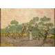 Van Gogh Vincent : Femmes ramassant des Olives, 1889