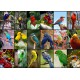 Collage - Oiseaux Colorés
