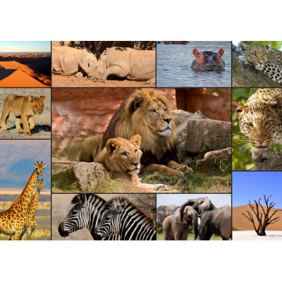 Grafika-F-30026 Collage - Wildlife